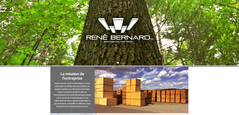 siteweb-renebernard